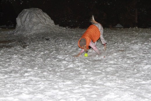 12_201402042206436e2.jpg