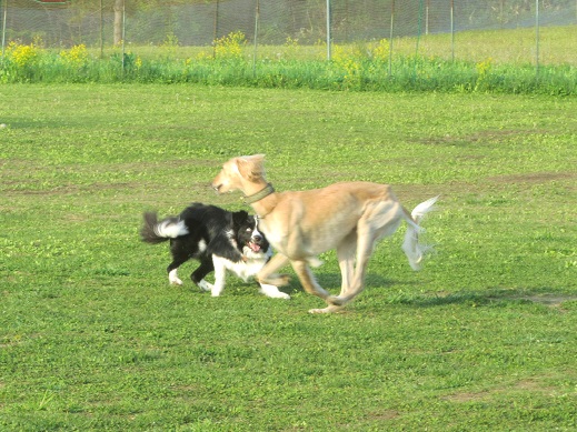 138_20130526212605.jpg