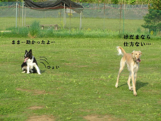 141_20130526214748.jpg