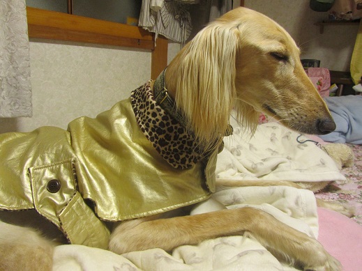 14_20130601214017.jpg