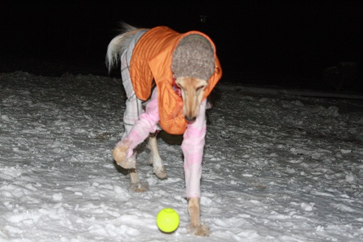14_20140204220650d23.jpg
