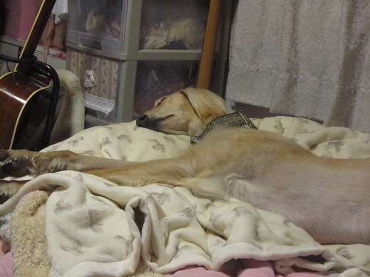 154_20130426015114.jpg