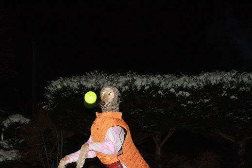 15_20140204220653857.jpg