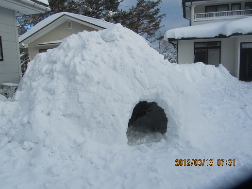 163_20130317205836.jpg