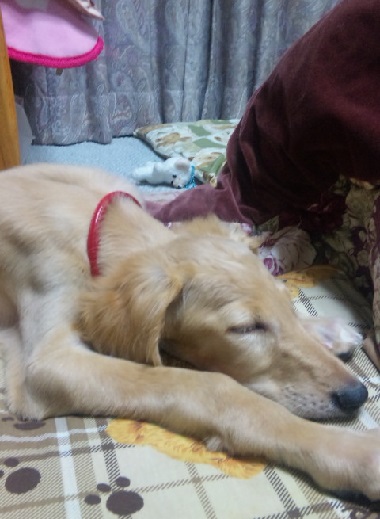 167_20130317205902.jpg