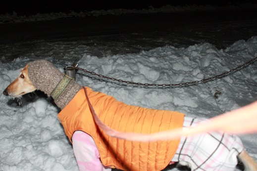 16_20140204220739c50.jpg