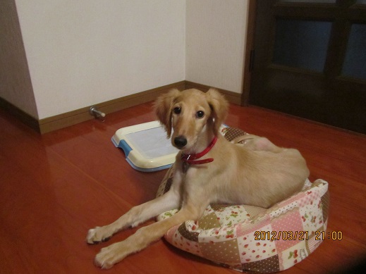 170_20130317210006.jpg