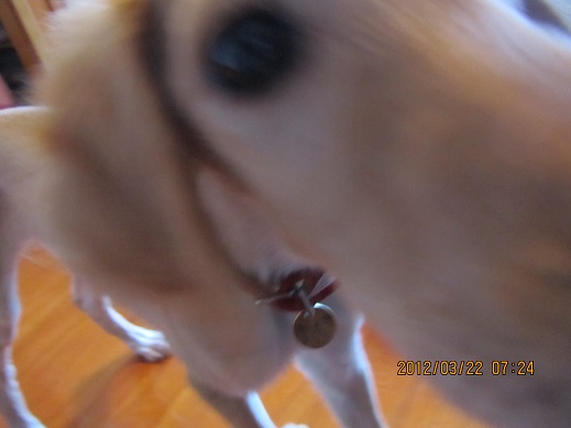 173_20130317213721.jpg