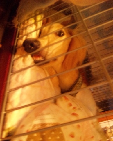181_20130317213856.jpg