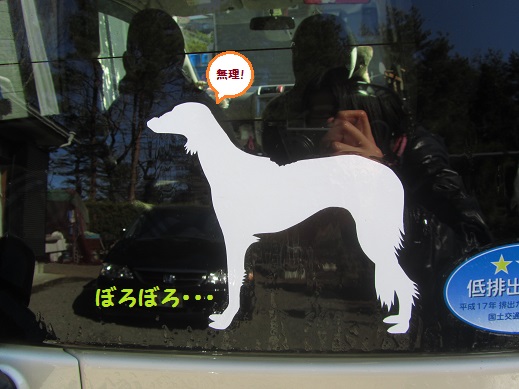 185_20130318212259.jpg