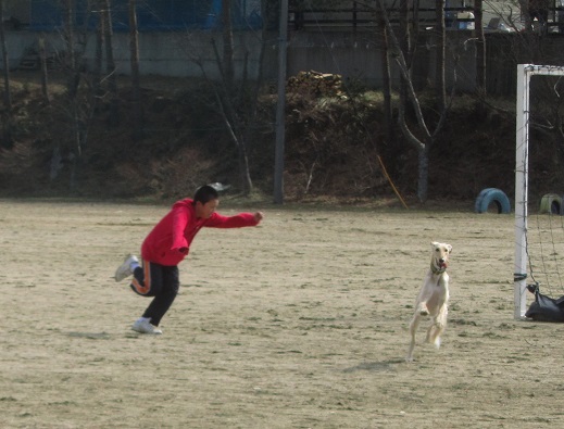 194_20130320235017.jpg