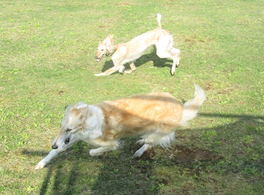 194_20130428223245.jpg