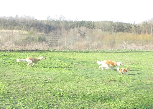 195_20130428223251.jpg