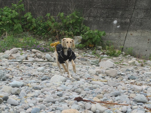 1_20130601213306.jpg