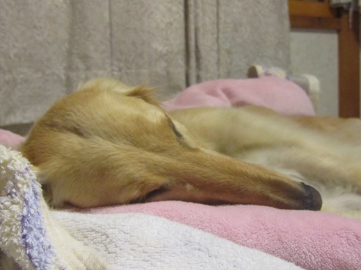 201_20130428223503.jpg