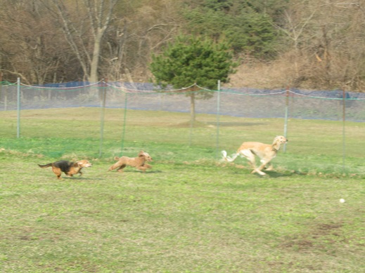 222_20130429232434.jpg