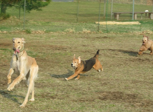 223_20130429232438.jpg