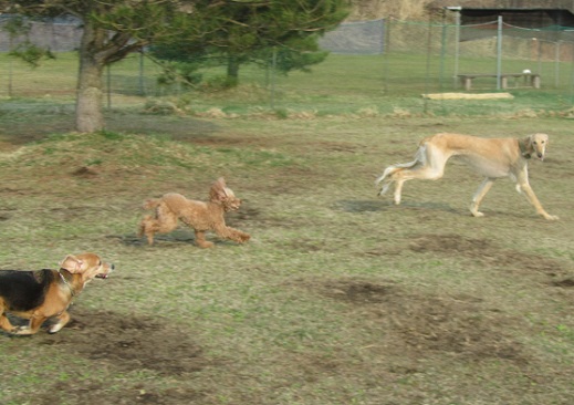 224_20130429232441.jpg