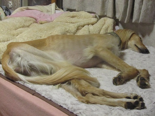 226_20130429232450.jpg