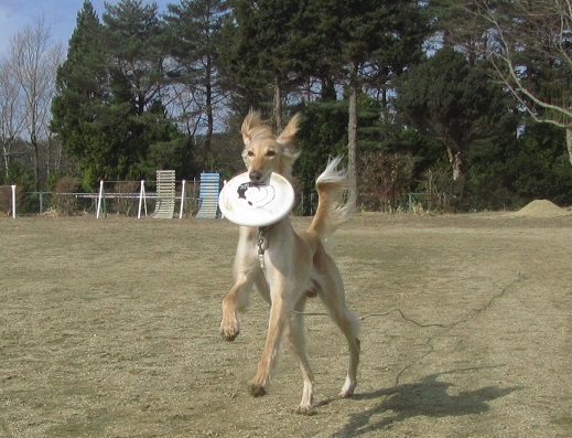 235_20130324215122.jpg