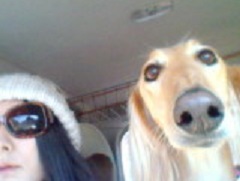 238_20130324215139.jpg