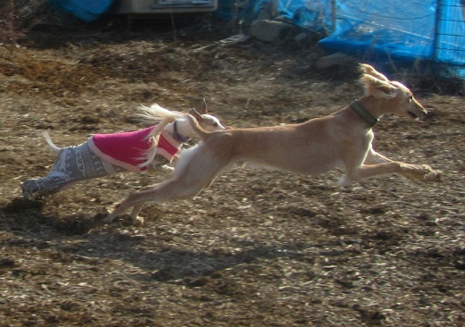 239_20130324215143.jpg