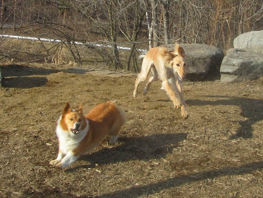 240_20130324215259.jpg