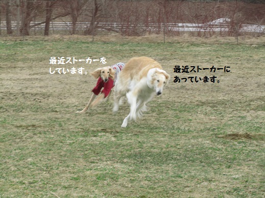 279.jpg