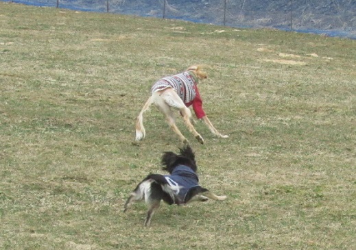 286.jpg