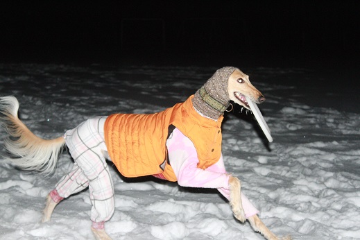 4_20140204220501af8.jpg