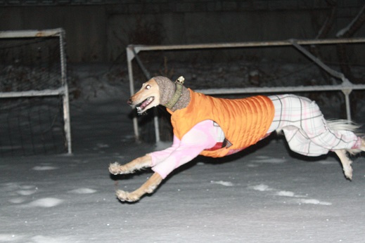 8_20140204220609989.jpg