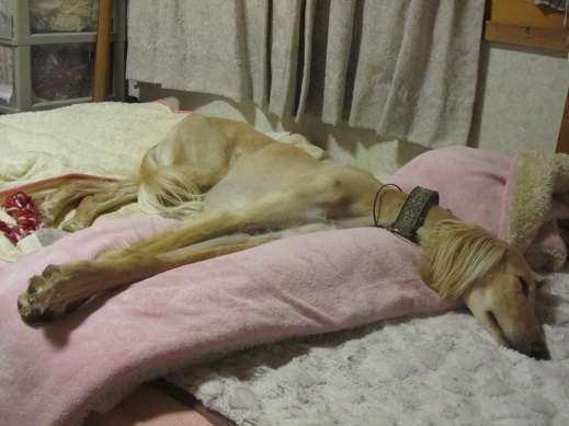 91_20130515230045.jpg