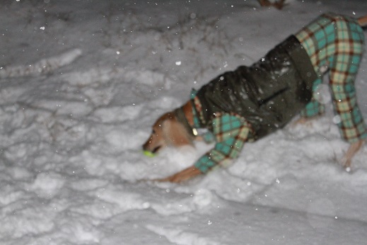 9_20140203210738e16.jpg
