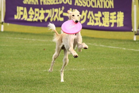 jfa4_20130317215853.jpg