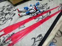 NEC_0301.jpg