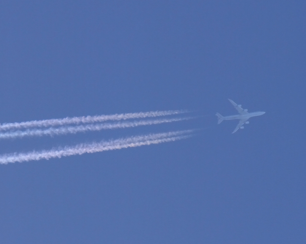 s-DPP_0210.jpg