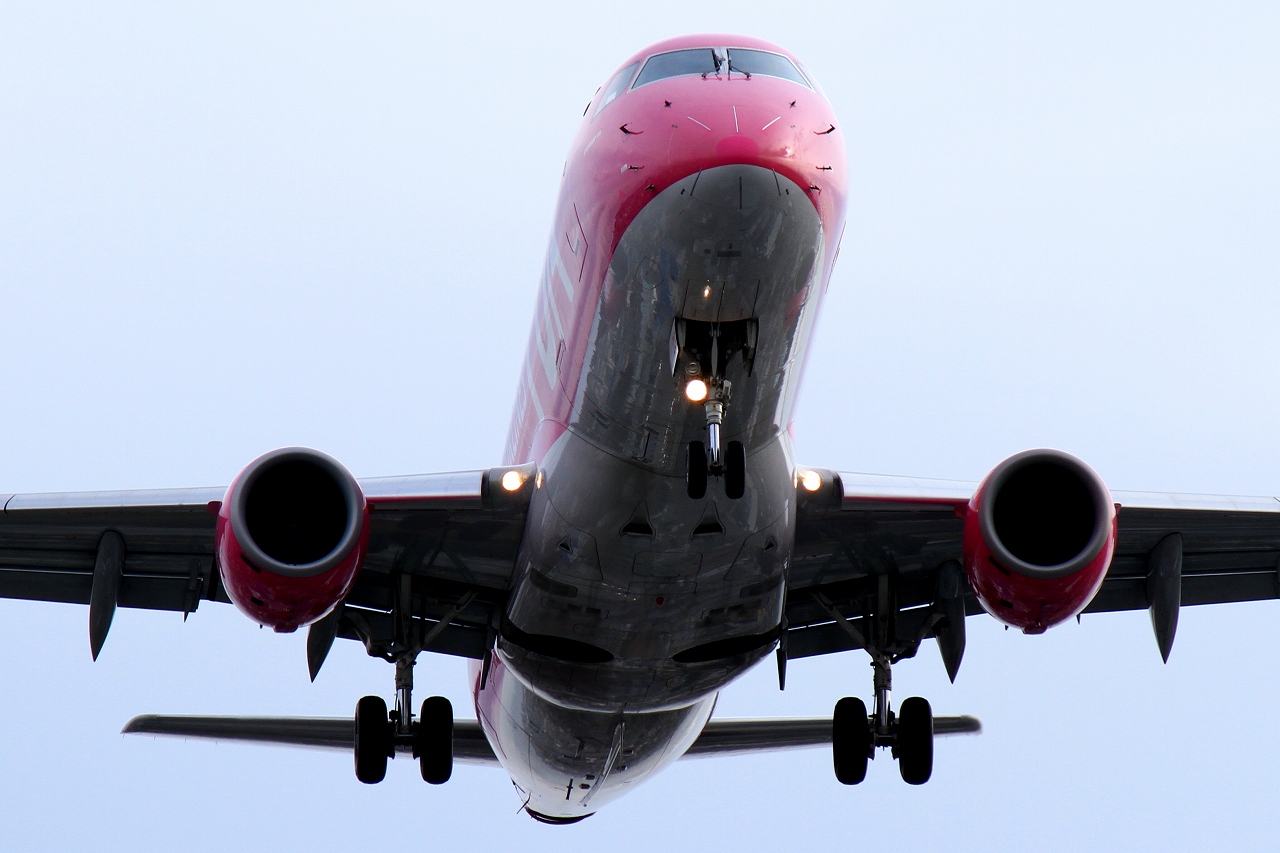 s-DPP_0490.jpg