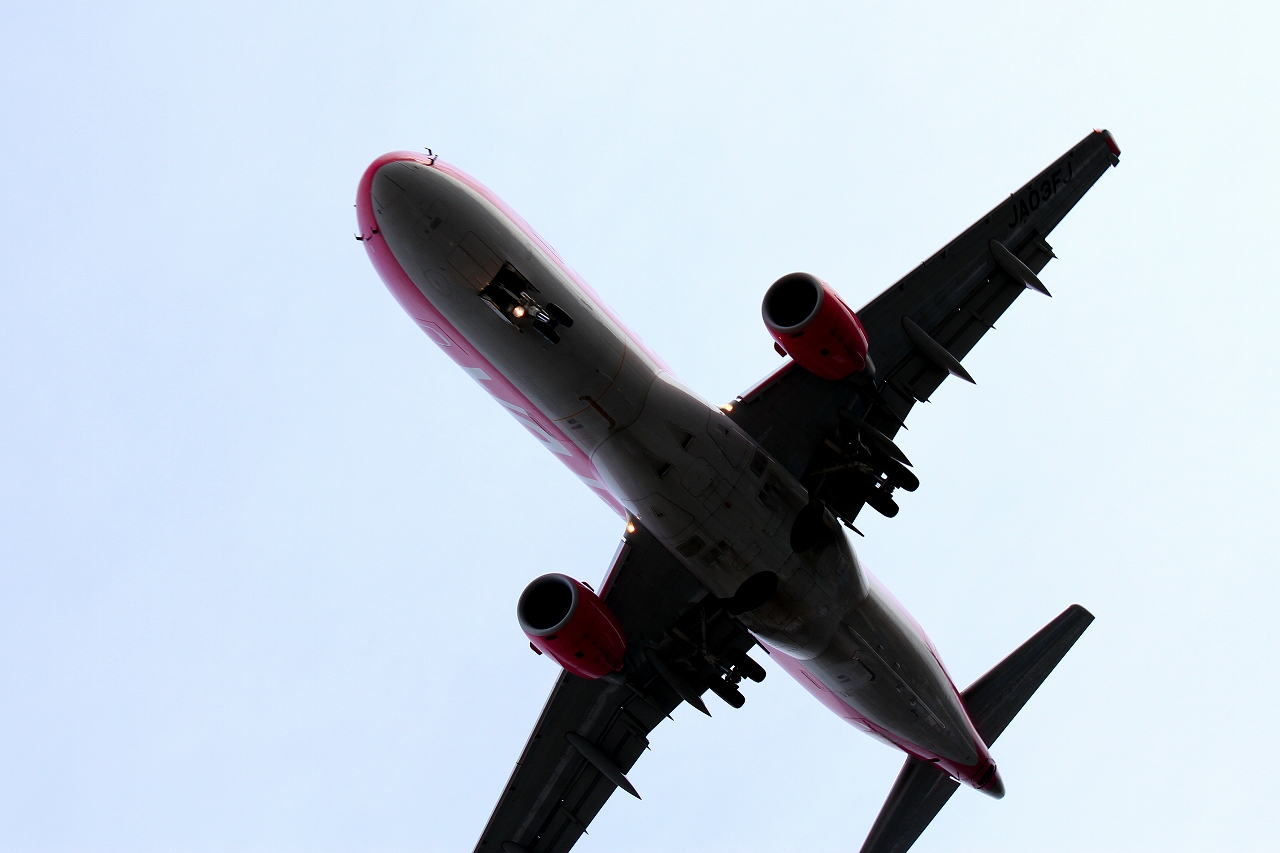 s-DPP_0491.jpg