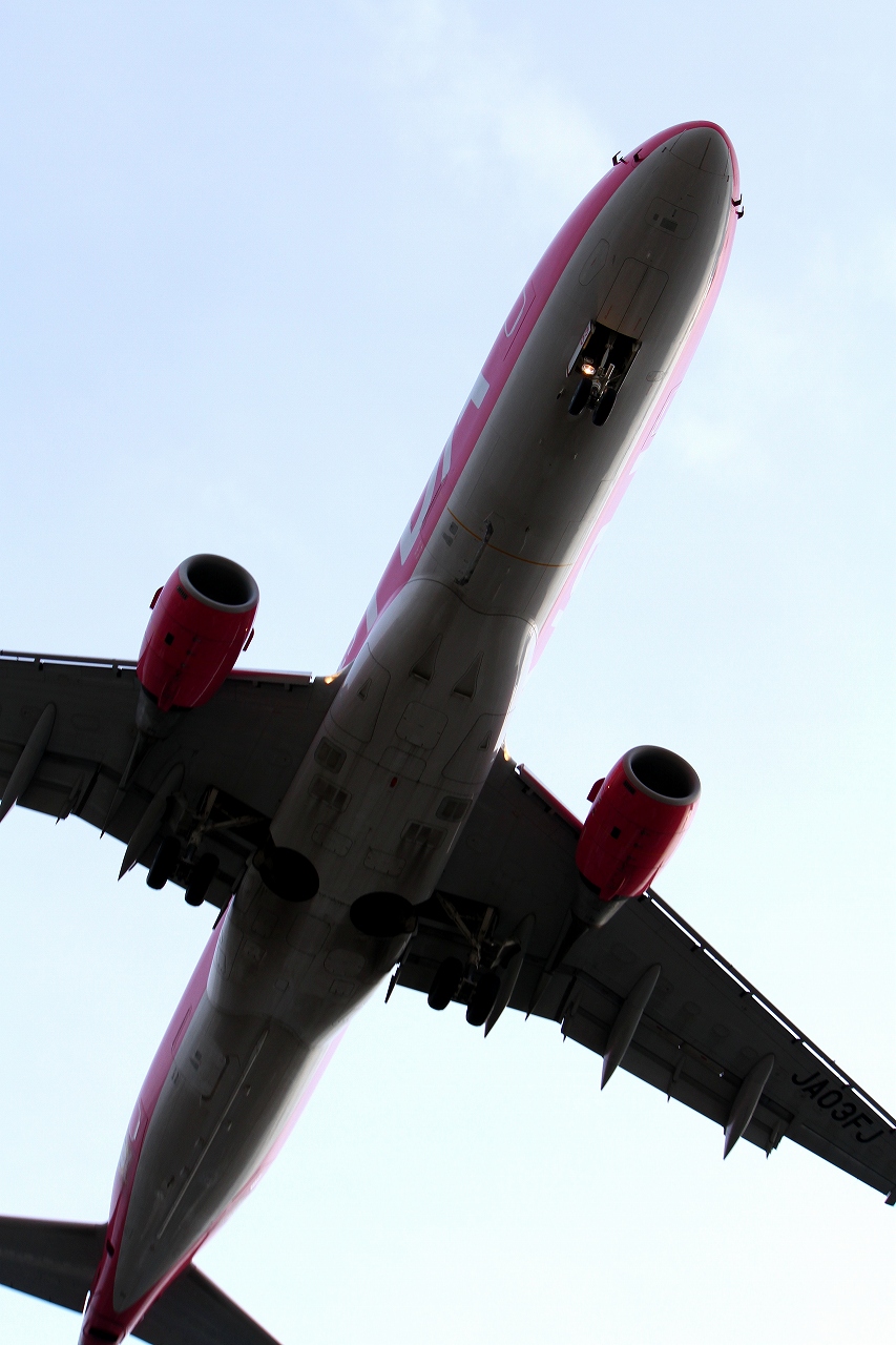 s-DPP_0492.jpg