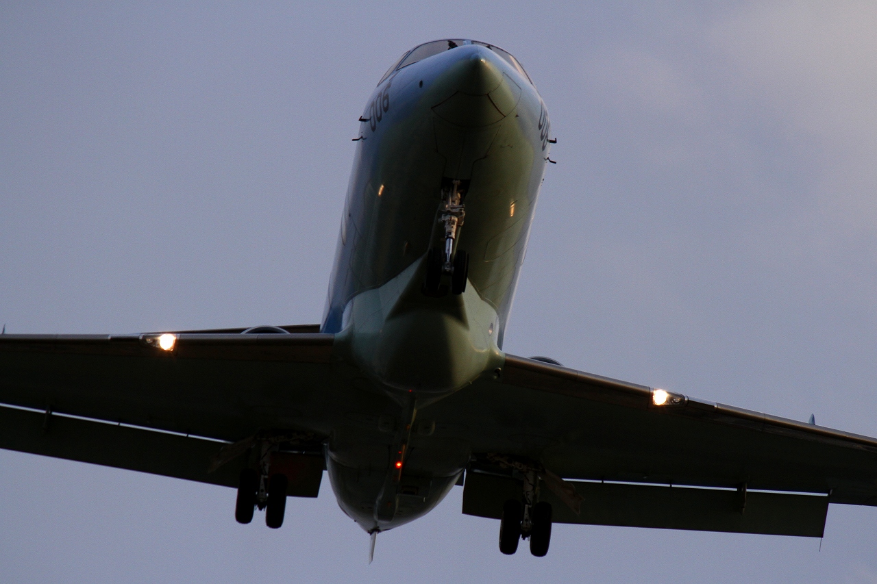 s-DPP_0516.jpg