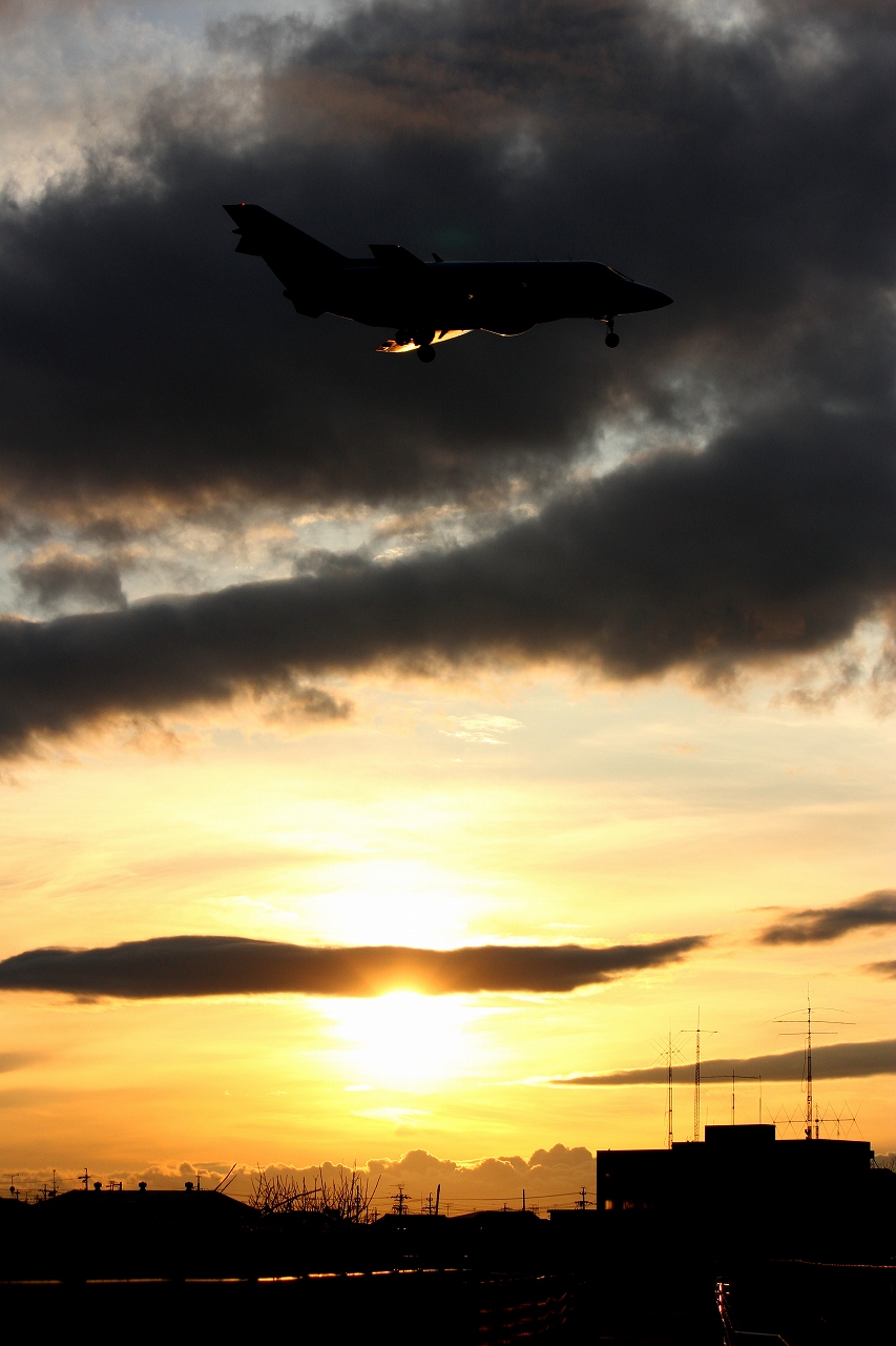 s-DPP_0518.jpg
