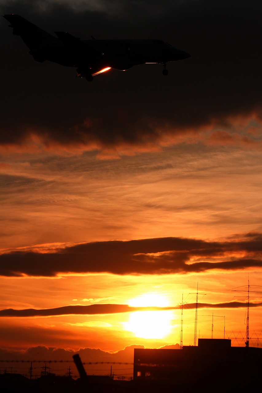 s-DPP_0521.jpg