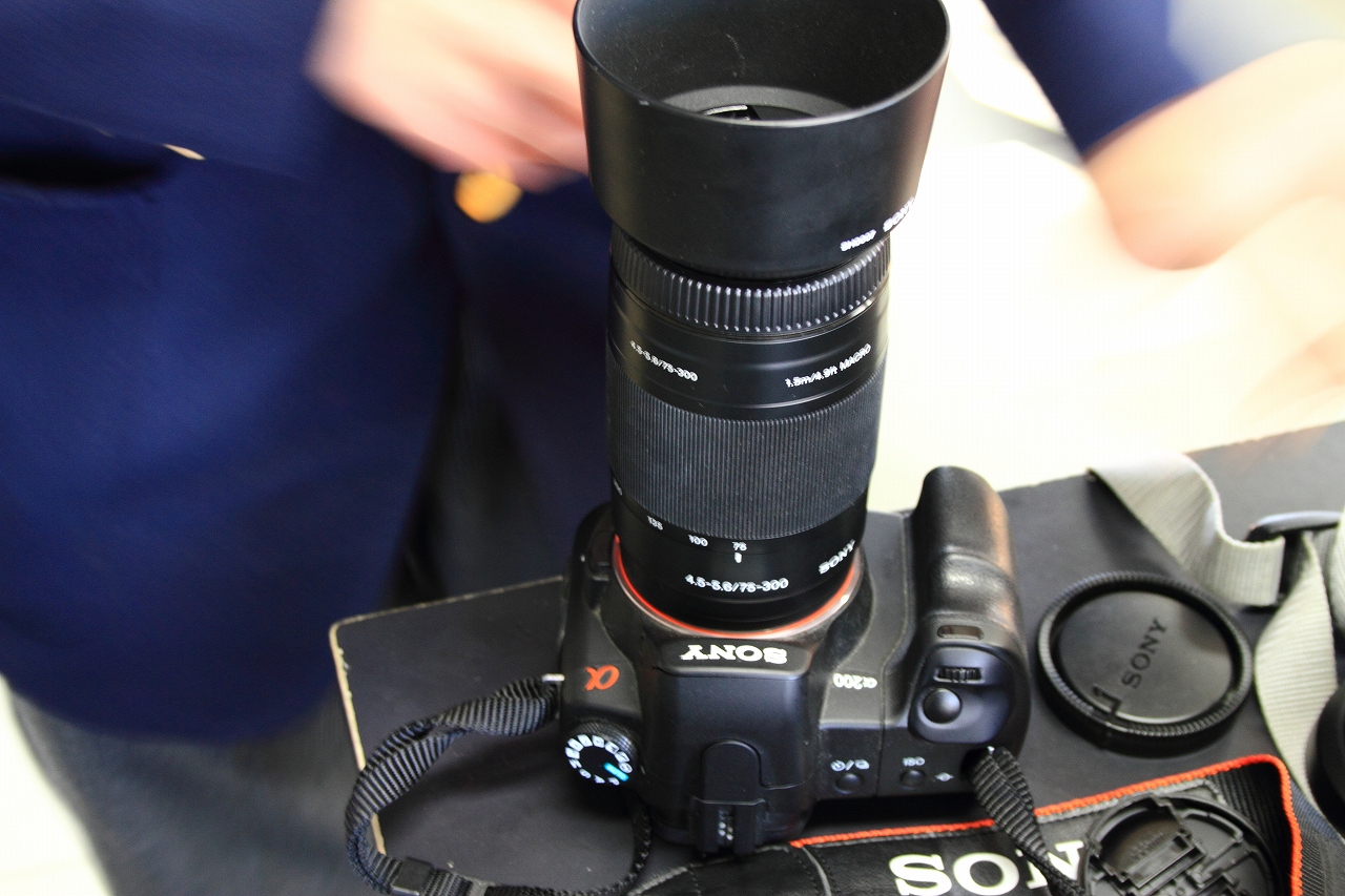 s-DPP_0693.jpg