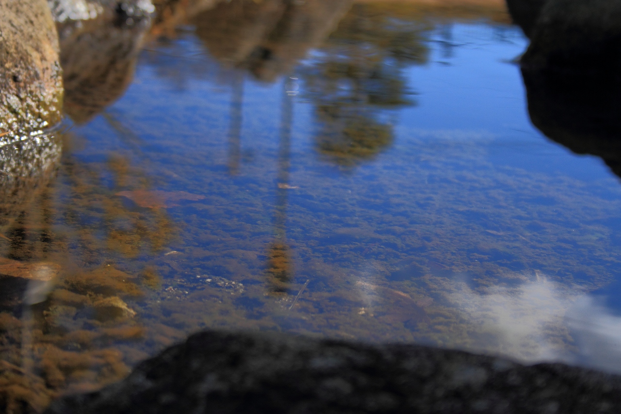 s-DPP_0698.jpg