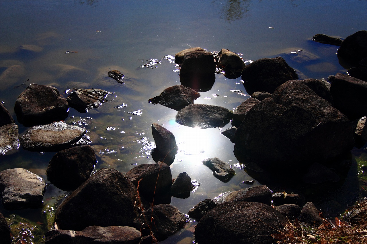 s-DPP_0708.jpg