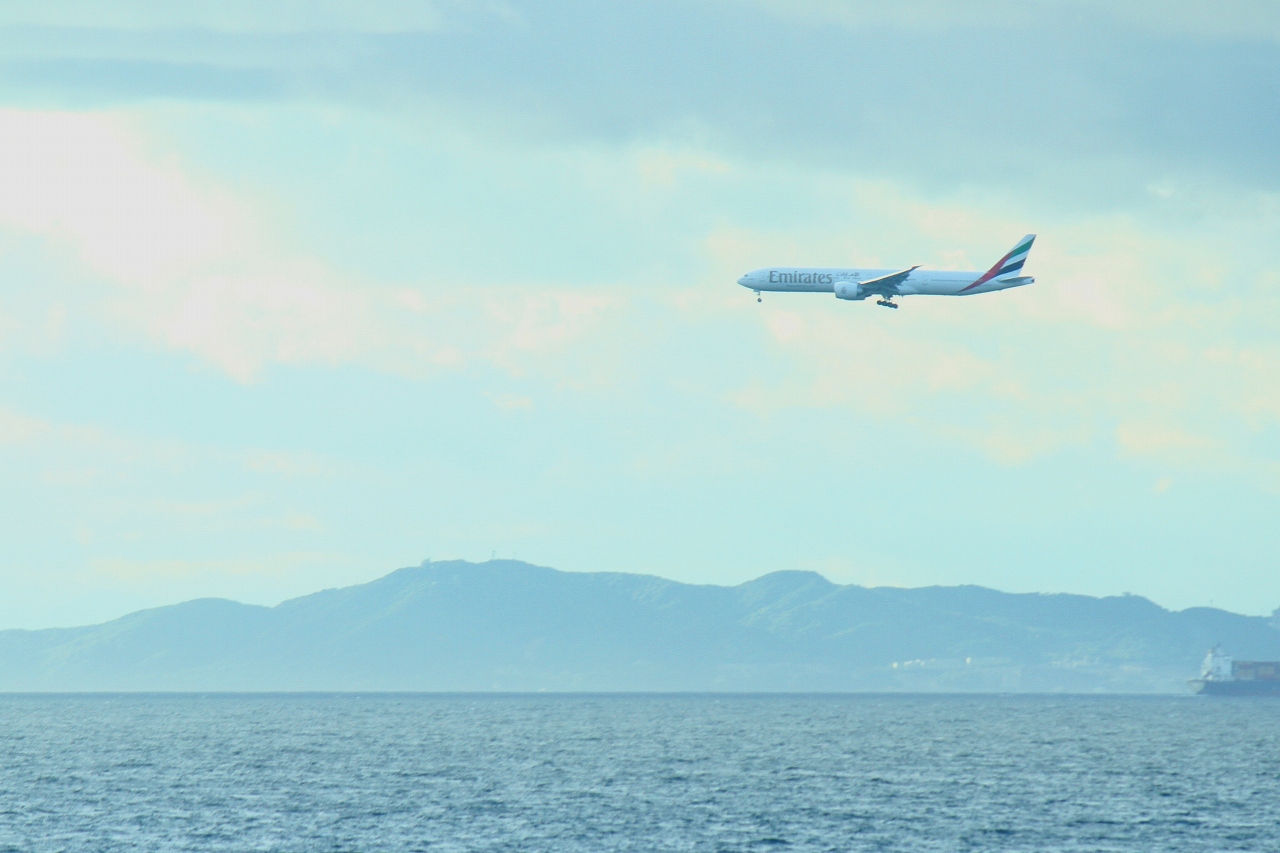 s-DPP_0715.jpg