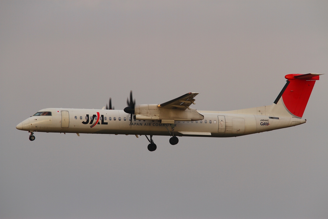 s-DPP_2217.jpg