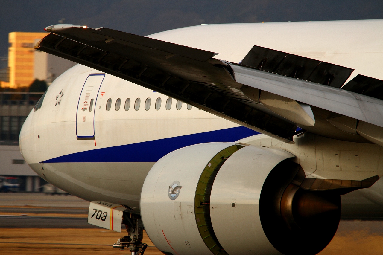 s-DPP_2219.jpg