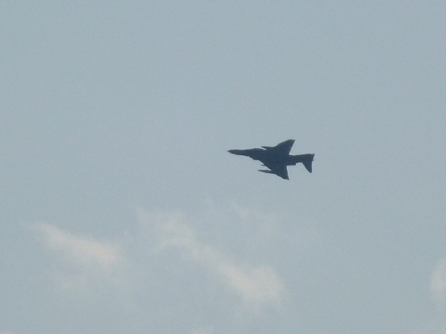 s-P1130309.jpg