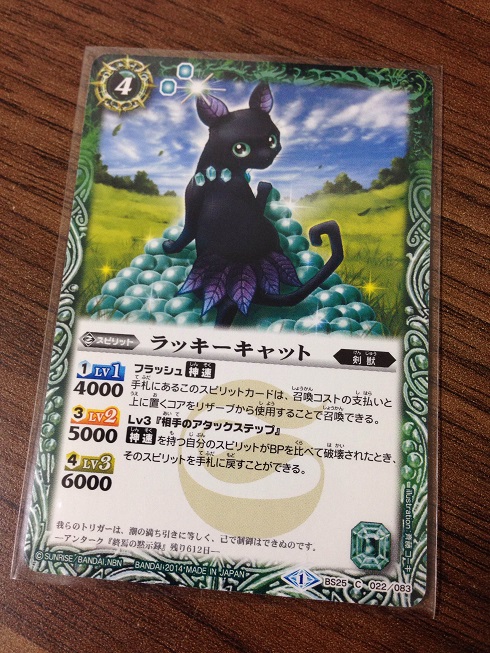 photo (2)